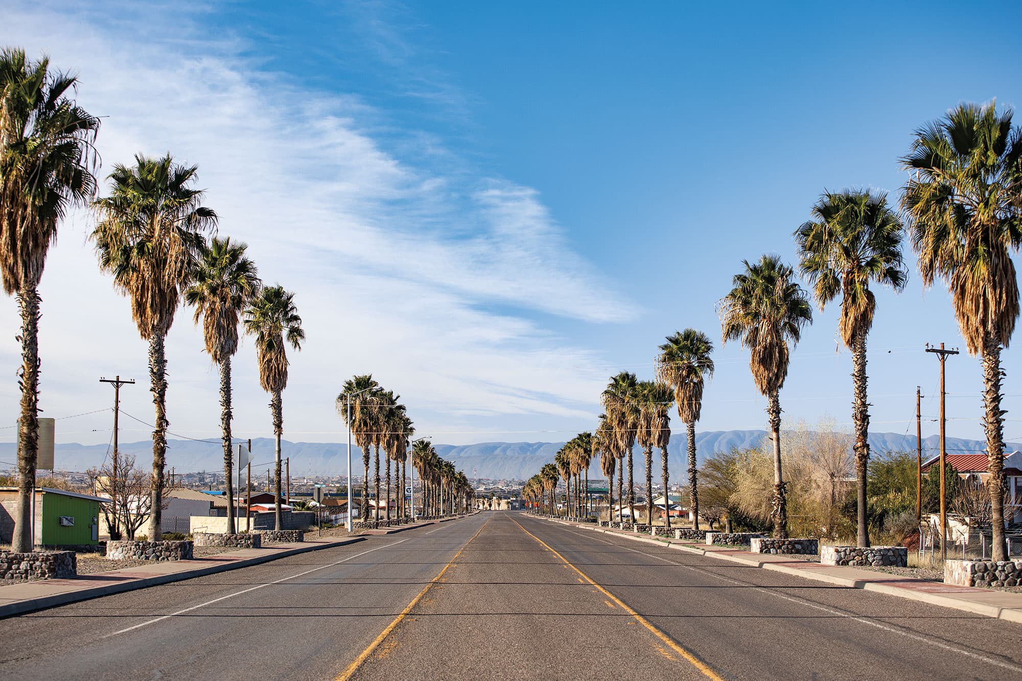 Palm tree lined street in Presidio, Texas with mountains in the background